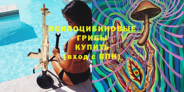 mdpv Верхний Тагил