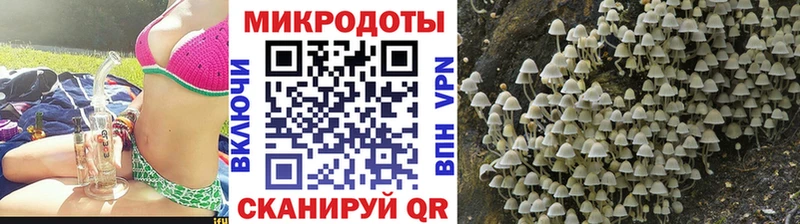 Галлюциногенные грибы Psilocybe  Кадников 
